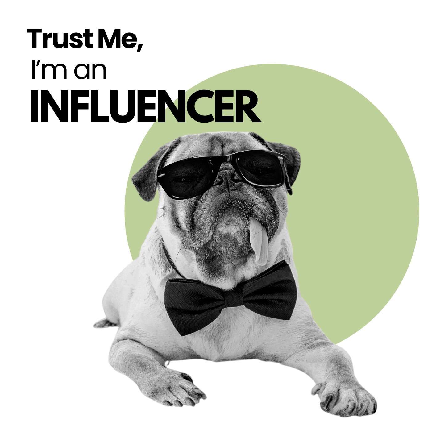 Services for Hospitality businesses by All4Chefs