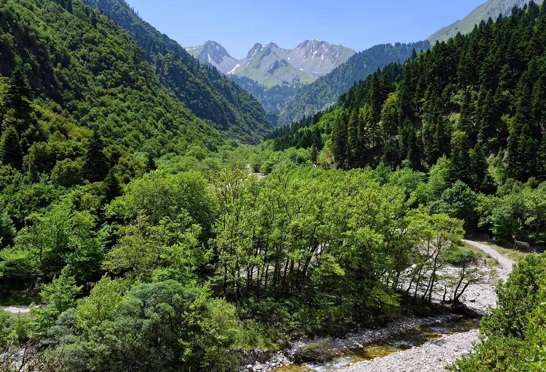 Discover Leontito Honey Organic Greek honey by All4Chefs