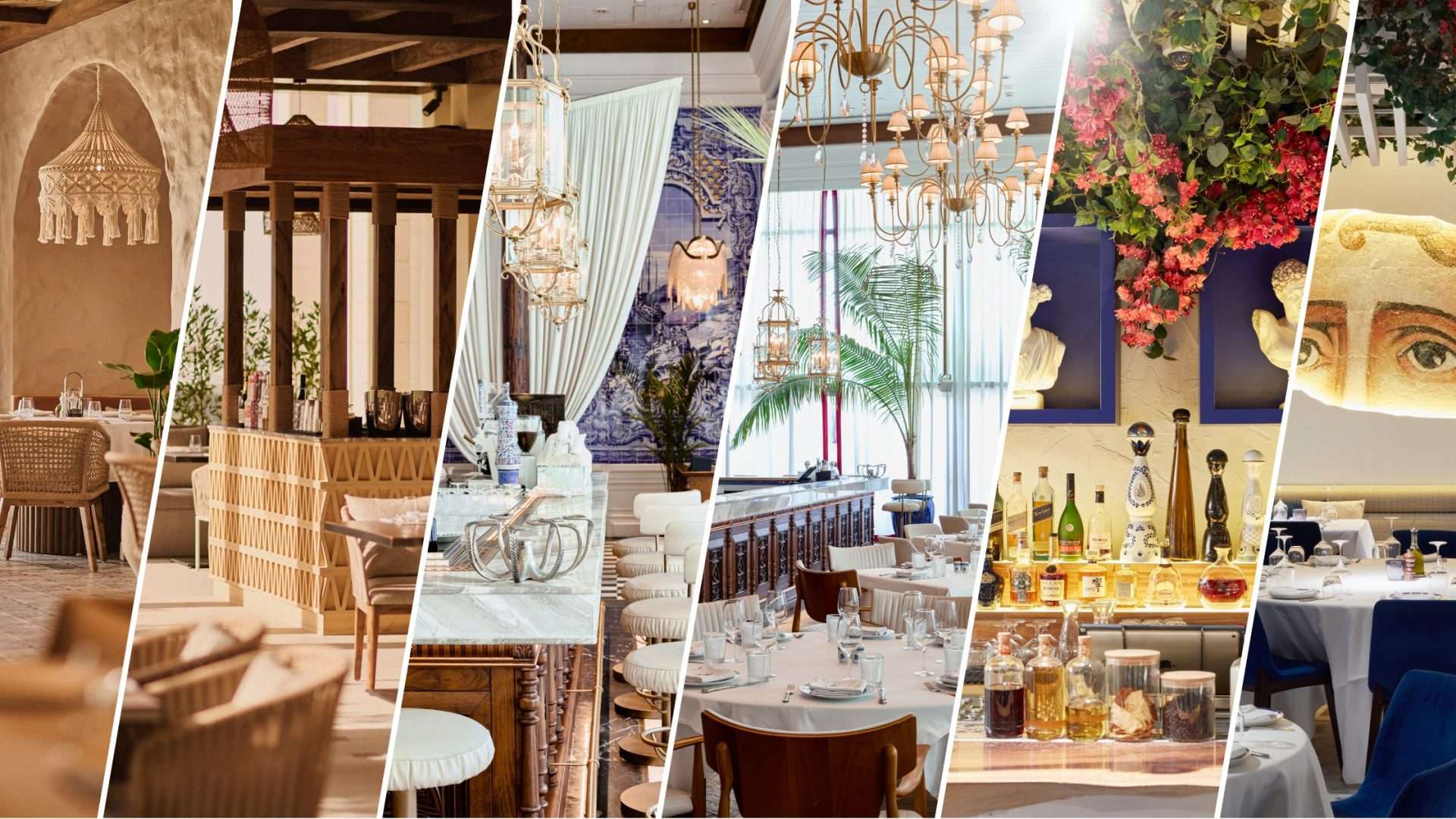 Chef Tim Newton on leading Demind's Group Expansion- Exclusive for Chefs Mag by All4Chefs