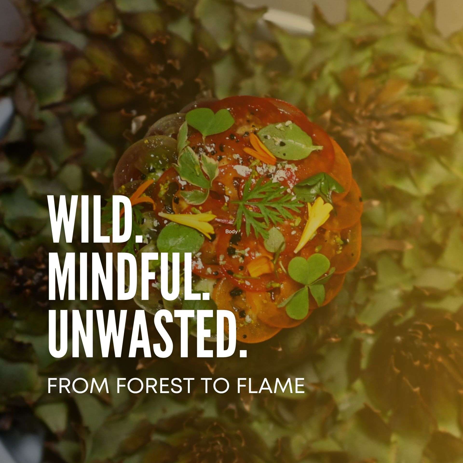 All4Chefs Summer menu challenge 2025- Tanno Takashi Nol restaurant Tokyo