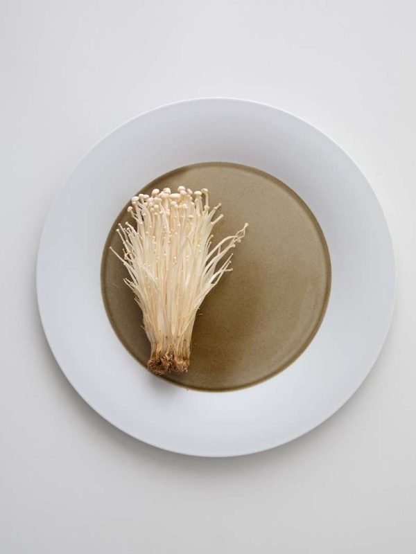 HERING1902_0887 (Large)