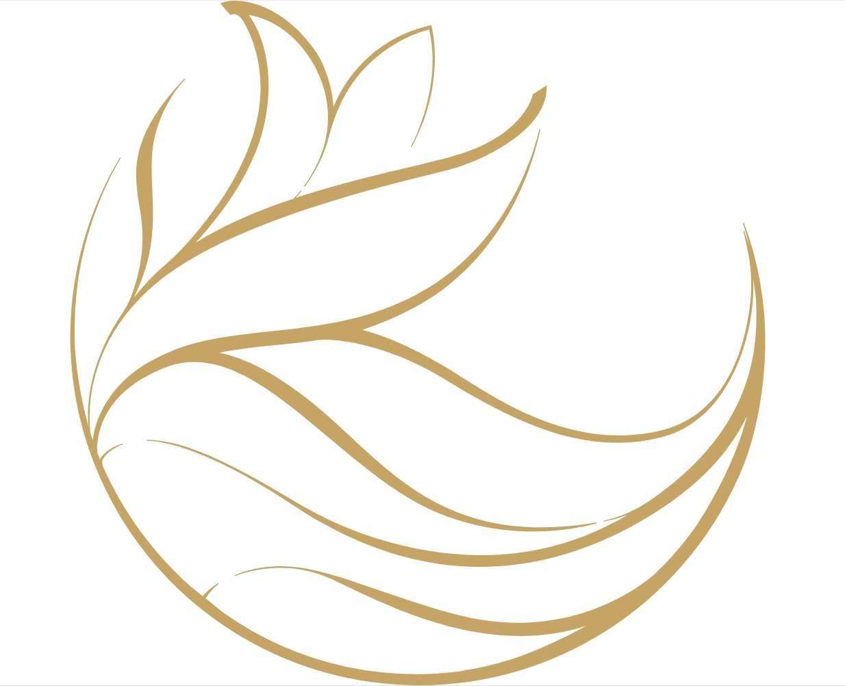 Fleur de Loire & Chef Christophe Hay for All4Chefs Summer menu challenge 2025